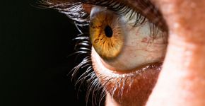 Foto: (iStock/Hasret Sonmez)