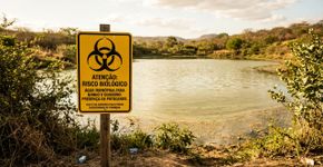 A famosa “ameba comedora de cérebros” não é a única; O novo medo é um grupo inteiro de micróbios que vivem na água e no solo e já estão ganhando terreno com as mudanças climáticas