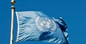 Gratuito: ONU oferece curso técnico on-line sobre meio ambiente