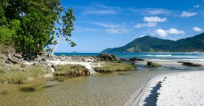 Foto: (iStock/Camila1111)