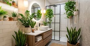 5 plantas que crescem na sombra e se adaptam bem a banheiros sem janela