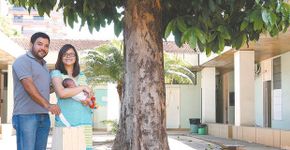 Conheça as cidades brasileiras que plantam uma árvore para cada bebê que nasce