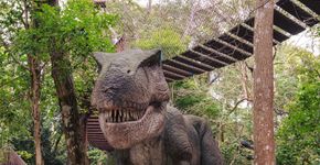 Foto: (@zoosaopaulo Instagram - reprodução)