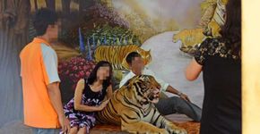 Instagram envia alerta a quem postar selfie com animal silvestre