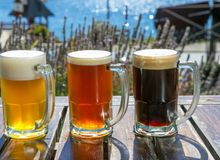 Featured side: O segredo das cervejas artesanais de Bariloche vem da neve