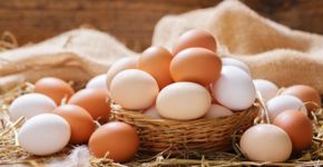 5 razões para incluir ovos na dieta durante o Carnaval