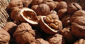 Consumir nozes e amendoins regularmente reduz morte precoce
