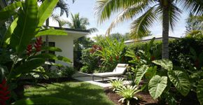 Quanto custa criar um refúgio com plantas tropicais no quintal?