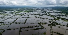 Como uma das regiões mais importantes de criação de gado da Colômbia passou a se assemelhar a um lago gigante em apenas alguns dias após as chuvas de fevereiro de 2026, que foram tão incomuns que podiam ser vistas do espaço
