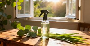 A planta que os mosquitos odeiam e você provavelmente tem em casa