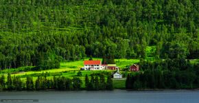Noruega proíbe o corte de árvores em todo o país
