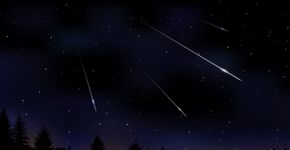 Foto: (Olga Beliaeva/iStock)
