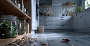 O que significa quando baratas aparecem em casa?