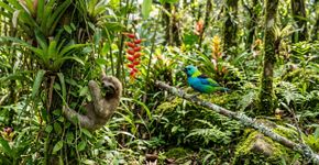 Cientistas afirmam ter descoberto uma regra universal que “liga” a evolução e funciona da mesma forma em bactérias, plantas, répteis, peixes e insetos