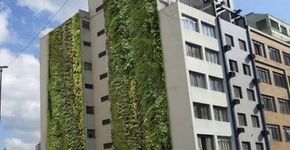 Guerra de Tubos de Papelão acontece no Minhocão