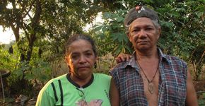 O sangue ainda corre na floresta: dez anos sem Dorothy Stang