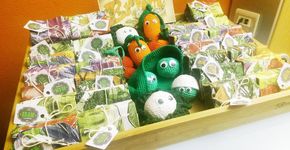 Em vez de ir pro lixo, papel de presente vira horta