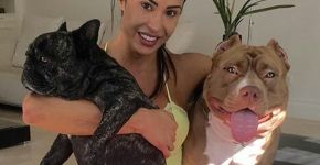 Pitbull de Gracyanne Barbosa dá luz a 5 filhotes e ela celebra