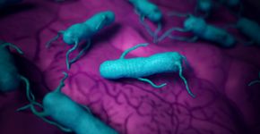 Foto: (iSTock/SciePro)