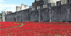 Instalação em Londres faz homenagem aos soldados mortos na 1ª Guerra