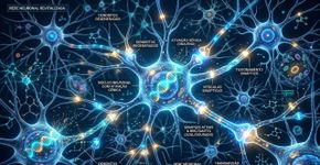 Cientistas conseguiram restaurar a capacidade de aprendizagem e a memória em camundongos idosos ativando apenas três genes, e essa descoberta levanta uma questão fundamental: o cérebro envelhece mais do que pensamos?