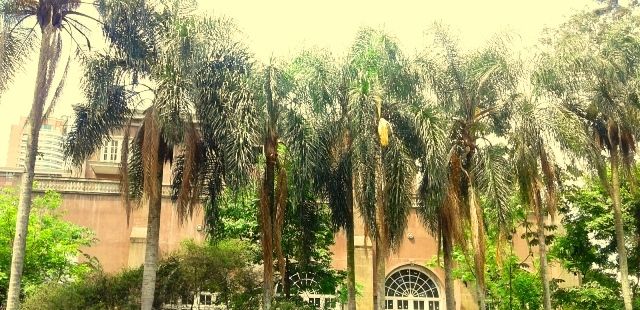 6 motivos para visitar o Parque Burle Marx, na zona sul de SP