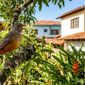 Da redação: Se você ouve pássaros cantando em sua casa ou jardim durante o dia, nós lhe contamos o que isso significa e por que é um bom sinal