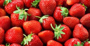 Foto: (iStock/MarcoFood)