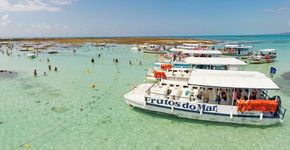 Maragogi, Tamandaré e Porto de Galinhas – Dicas do que fazer e como chegar