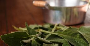 Banho de Oxalá: conheça o ritual poderoso para proteger a mente