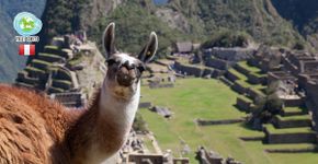 O melhor caminho para chegar em Machu Picchu
