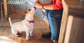 Foto: (Urbazon | iStock)