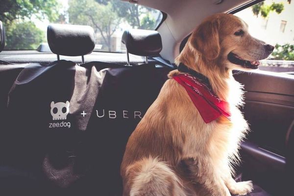 Divulgação / Uber