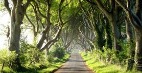 5 dicas de séries que vão estimular você a fazer intercâmbio já