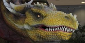 Foto: (Foto: Divulgação.)