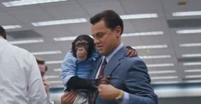 Chimpanzé de ‘O Lobo de Wall Street’ é explorado em zoo
