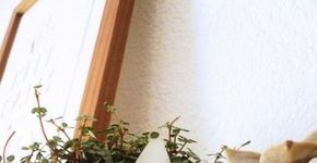 Ideias divertidas para reaproveitar garrafas PET