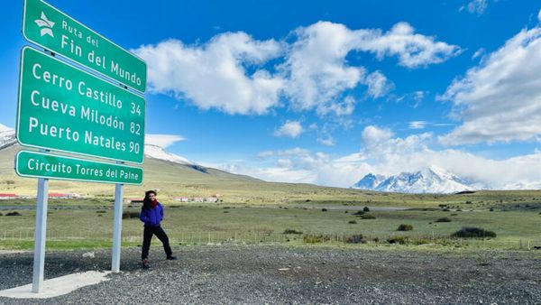 Paisagens e momentos do Puma Tour, passeio especializado para ver puma em Torres del Paine