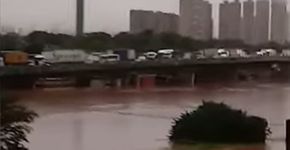 Foto: (reprodução)