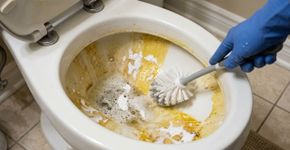 Seu vaso sanitário não é limpo há semanas? Um remédio caseiro vai remover as manchas amarelas de uma vez