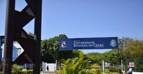 Foto: (Divulgação)