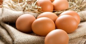 10 alimentos ricos em proteína para substituir o ovo