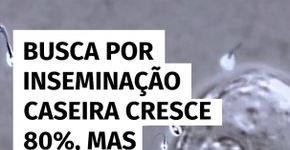 Busca por inseminação caseira cresce 80%, mas especialistas alertam para riscos à saúde