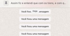 Foto: (Captura de tela do WhatsApp)