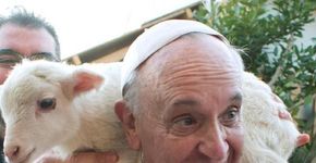 Papa faz crítica para quem cuida de animais, mas deixa pessoas passarem fome
