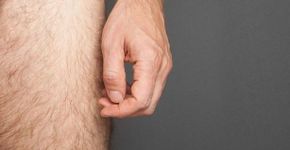 Fotógrafa discute masculinidade em livro com 100 fotos de pênis