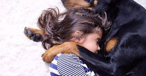 Amizade inusitada: Doberman e menina de 3 anos fazem tudo juntos