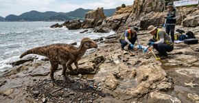 Um adorável pequeno dinossauro foi achado na Coreia do Sul e batizado Dooly, mas por trás do nome do desenho está um fóssil que pode alterar sua antiga linhagem
