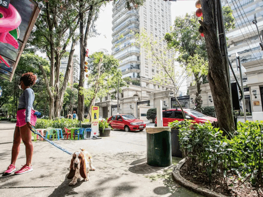 Proximidade com Ibirapuera valoriza o local