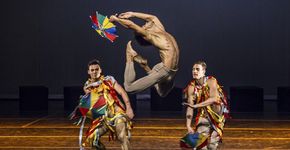 Plataforma Estado da Dança